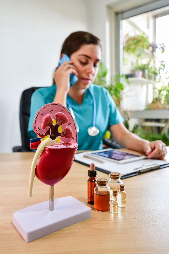 A doctor sits at a desk with a kidney model in front of her